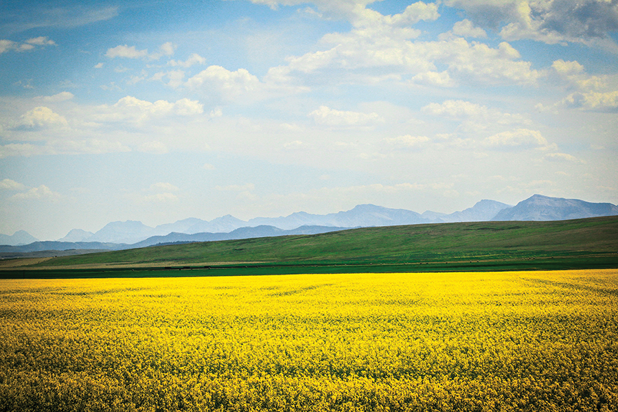 landscape